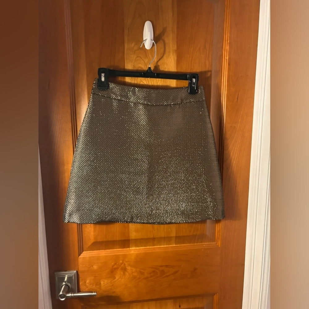 Elegant Brown Skirt